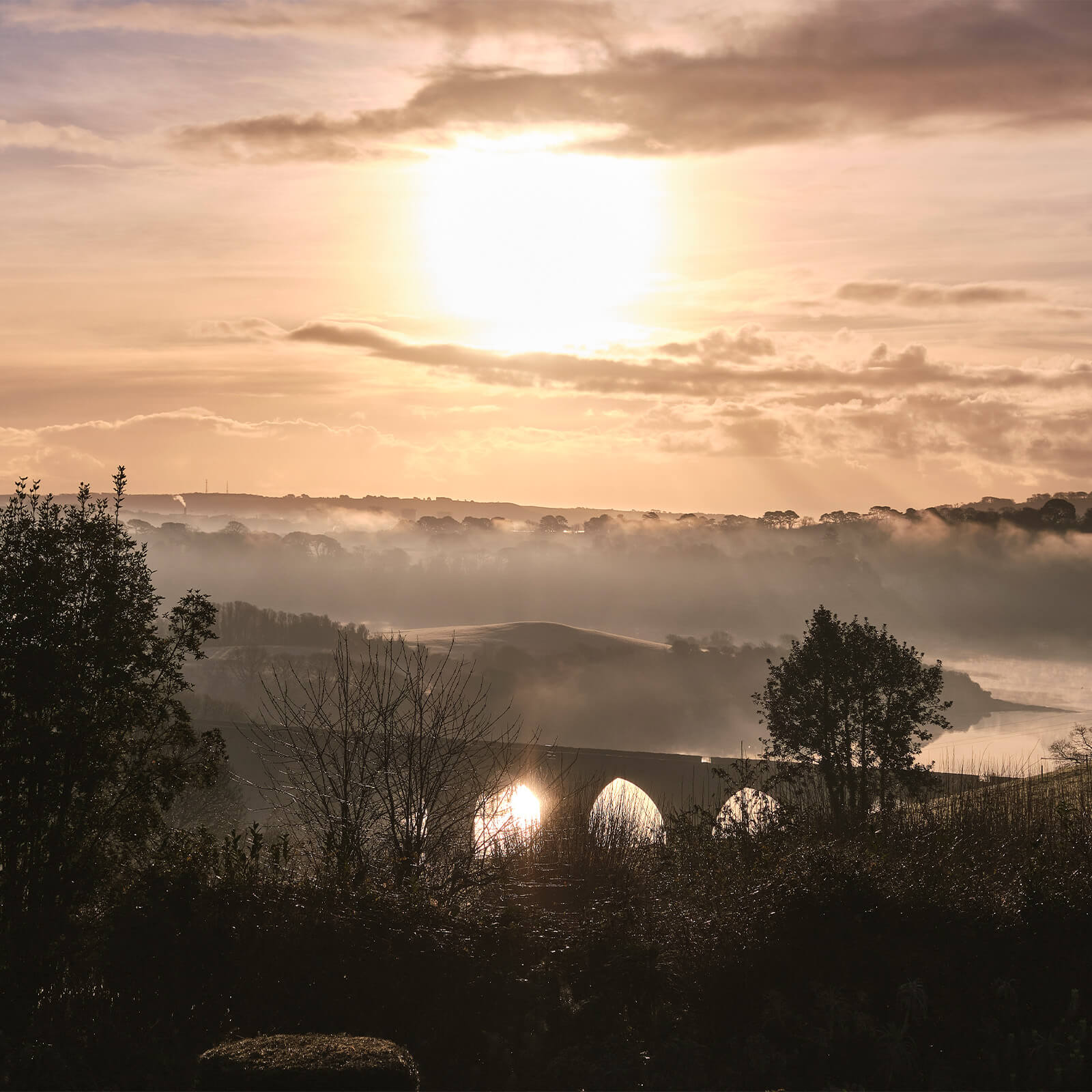 Our Regenerative Journey: Beyond Sustainability