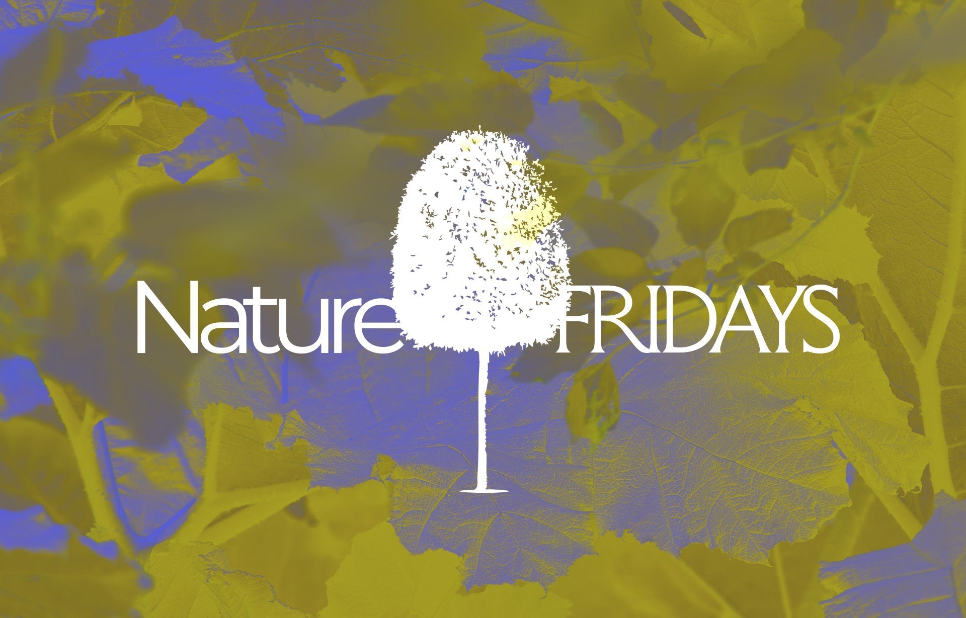 Nature Fridays