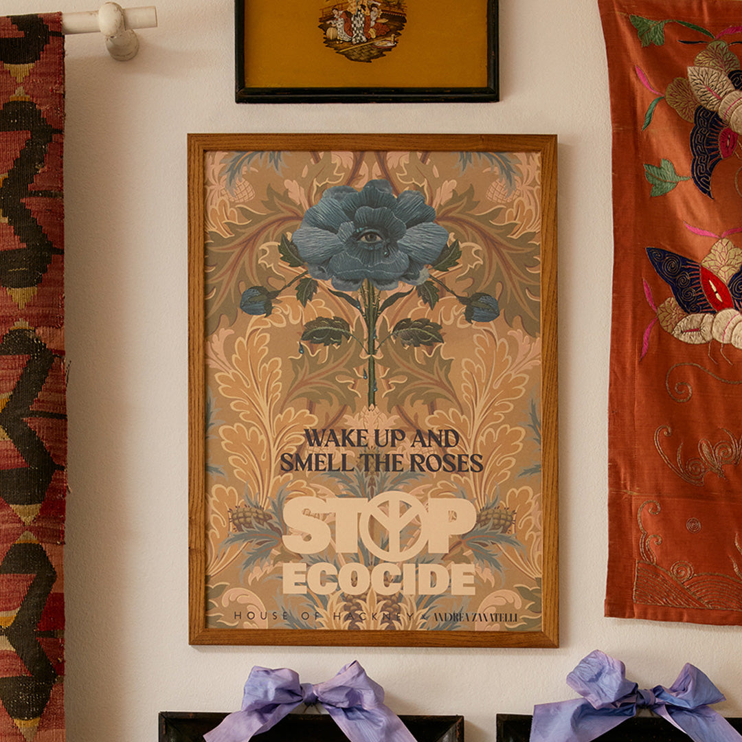 Ecocide: Passion & Purpose with Frieda Gormley