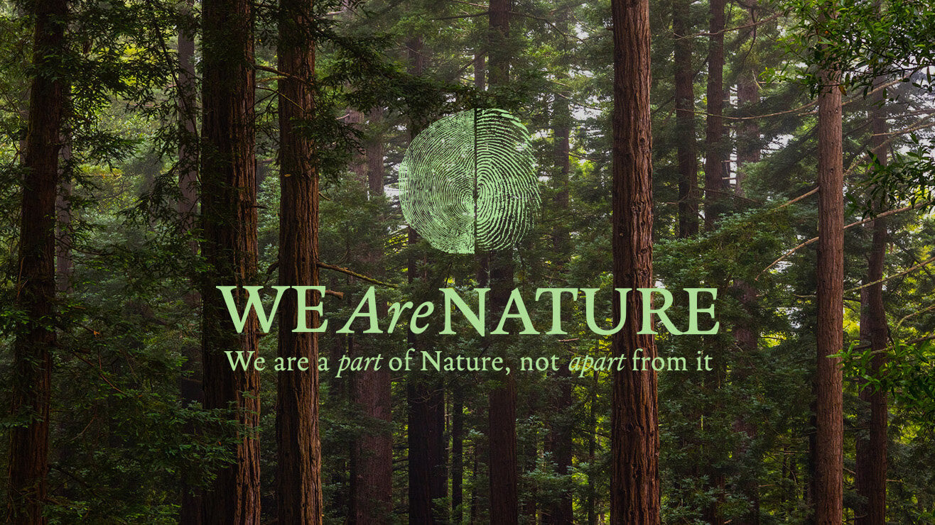 We Are Nature: One Year On