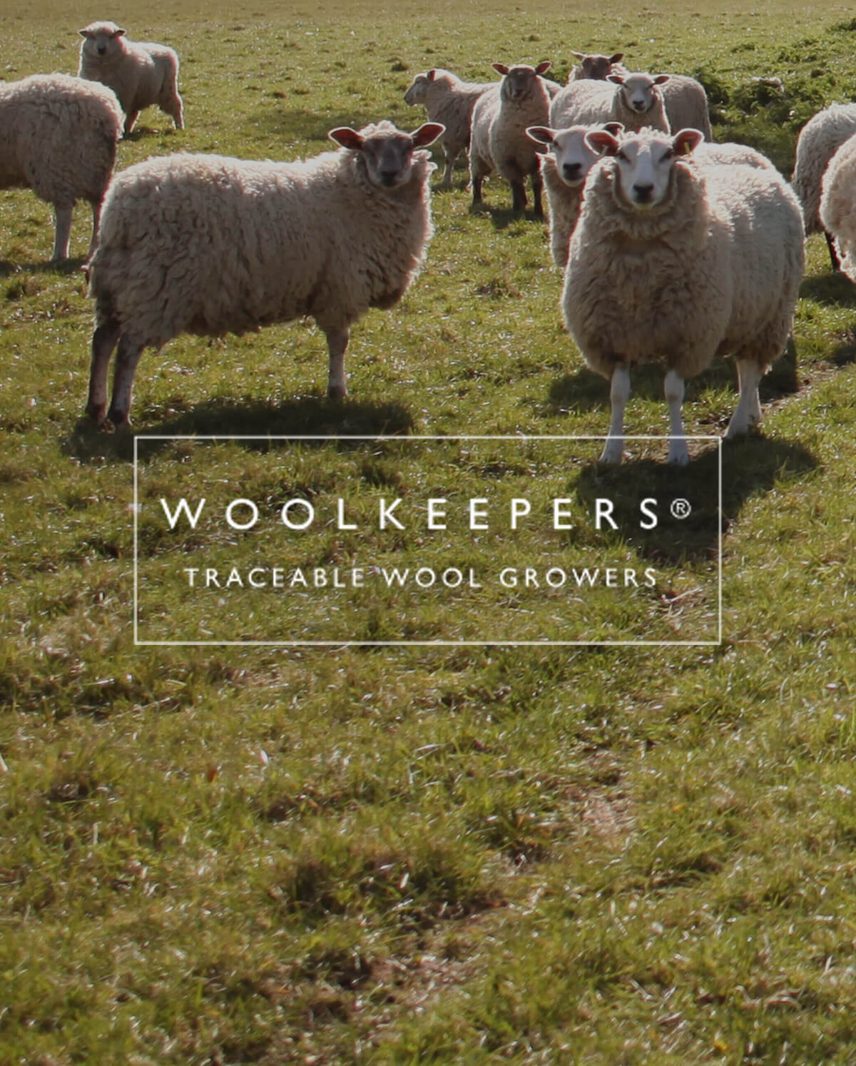 WOOLKEEPERS