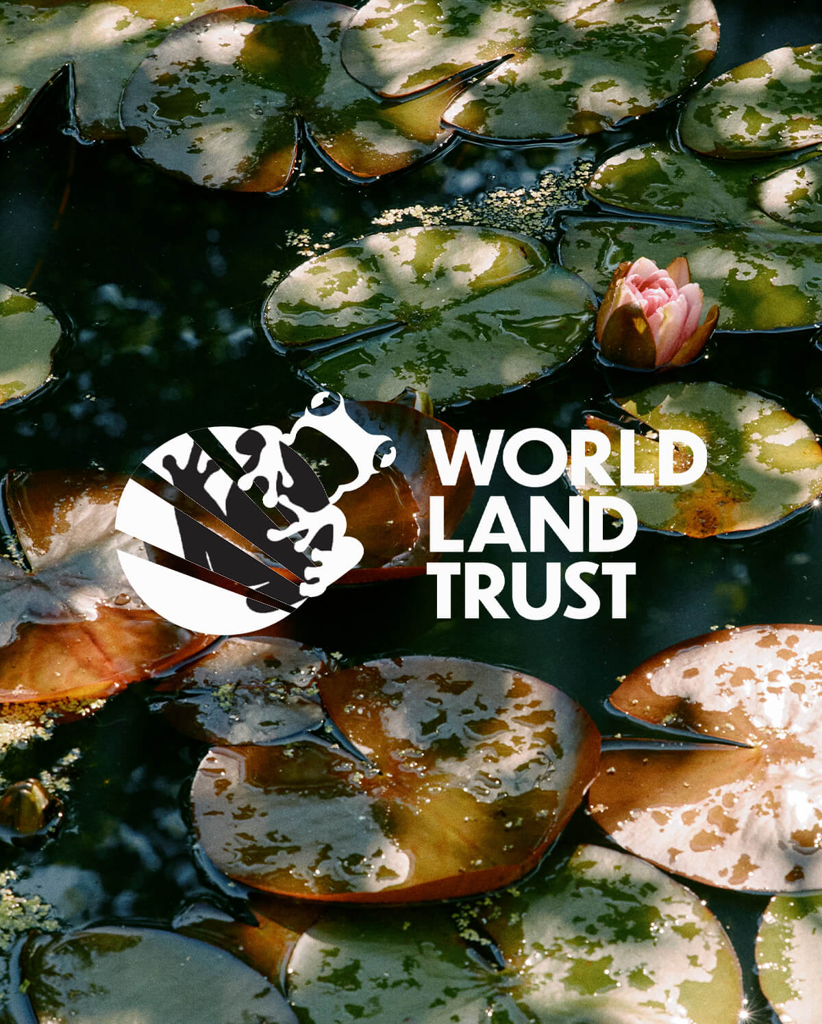 WORLD LAND TRUST
