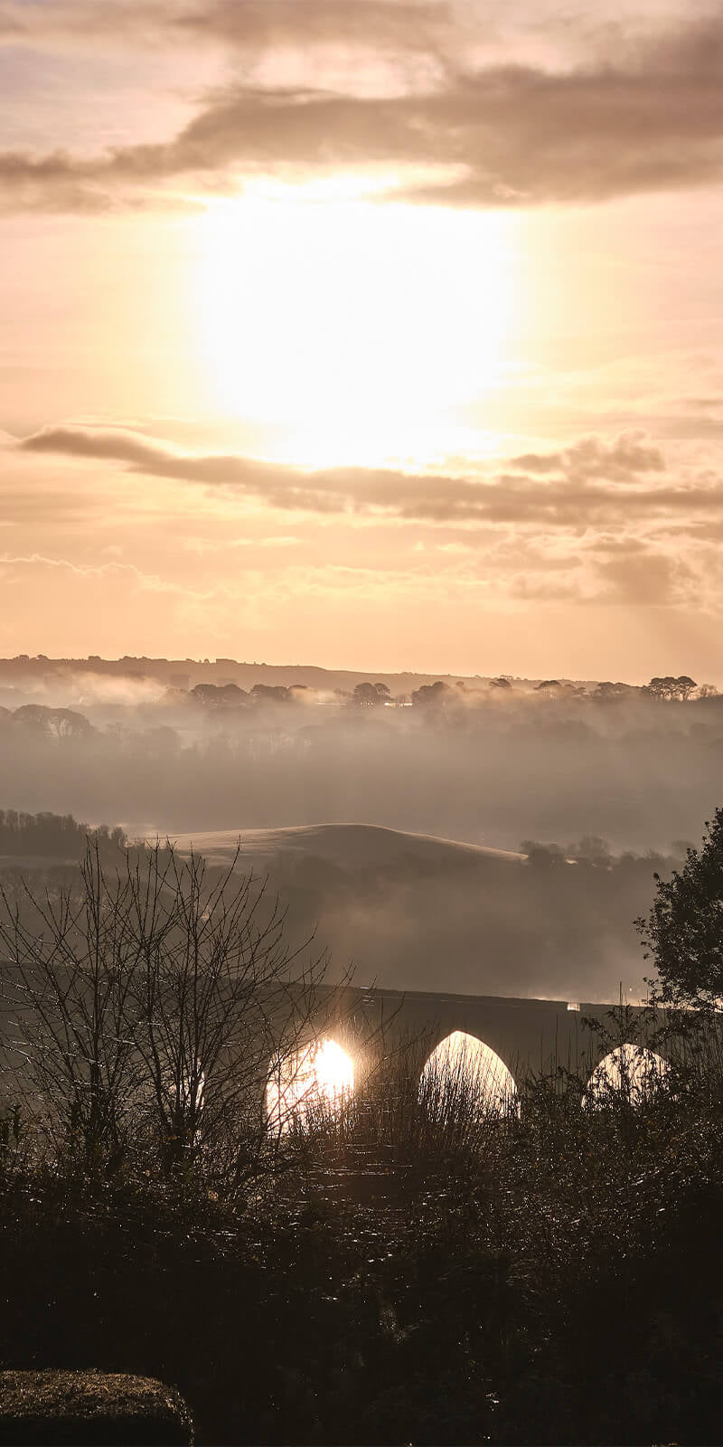 Why are we bringing Nature's voice to the table?