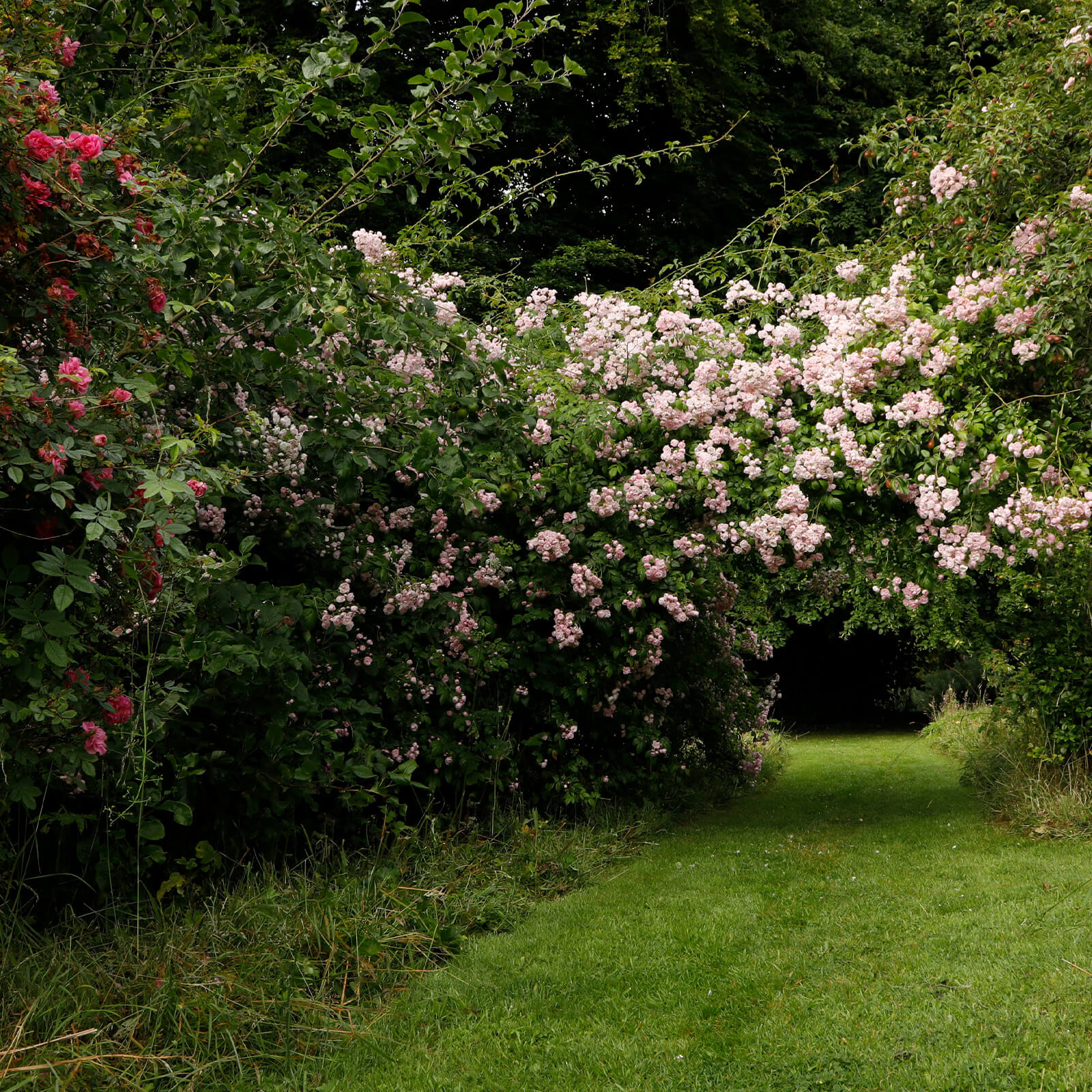 “The most romantic garden in Cornwall” – The Times