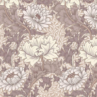 CHRYSANTHEMUM MAGNA Wallpaper - Astrantia Sample