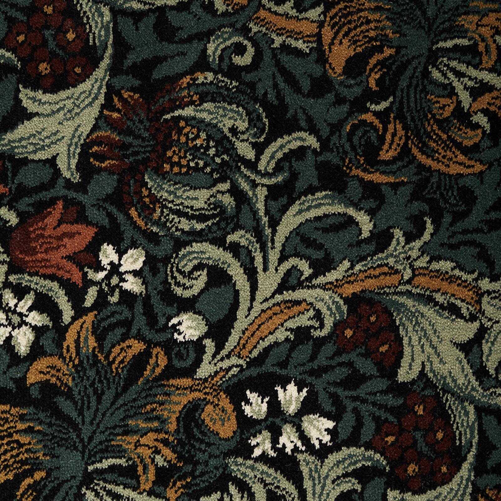 GOLDEN LILY Carpet - Midnight