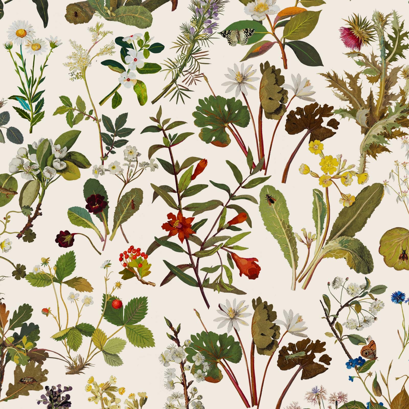 HERBARIUM Wallpaper - Ecru Sample
