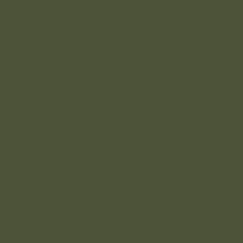 NEPHRITE Paint - 60 Swatch