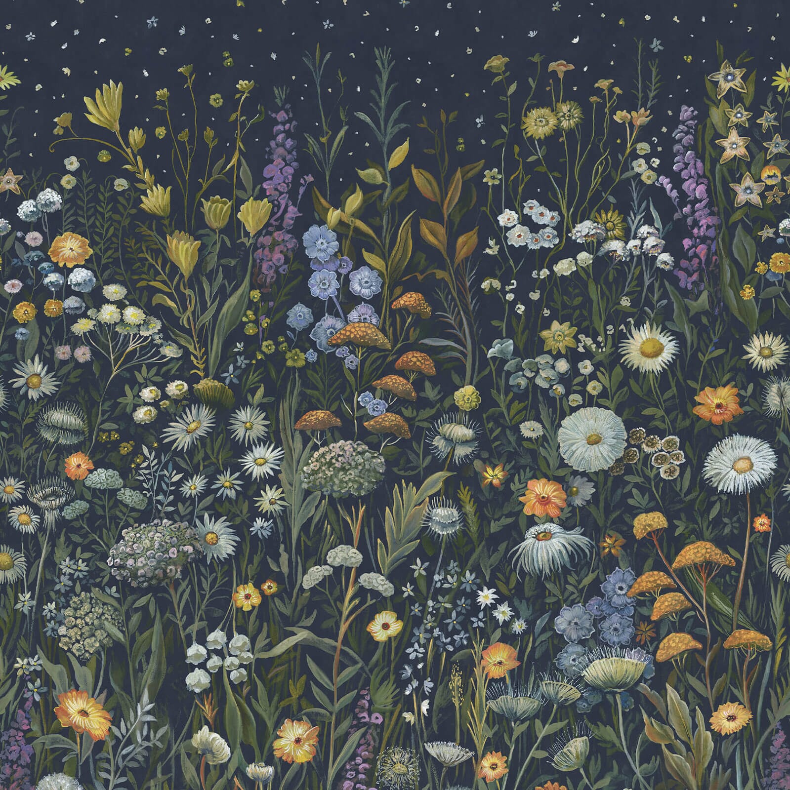 PRATARIA Wallpaper - Galaxias