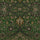 ZANJAN Wallpaper - Juniper Green