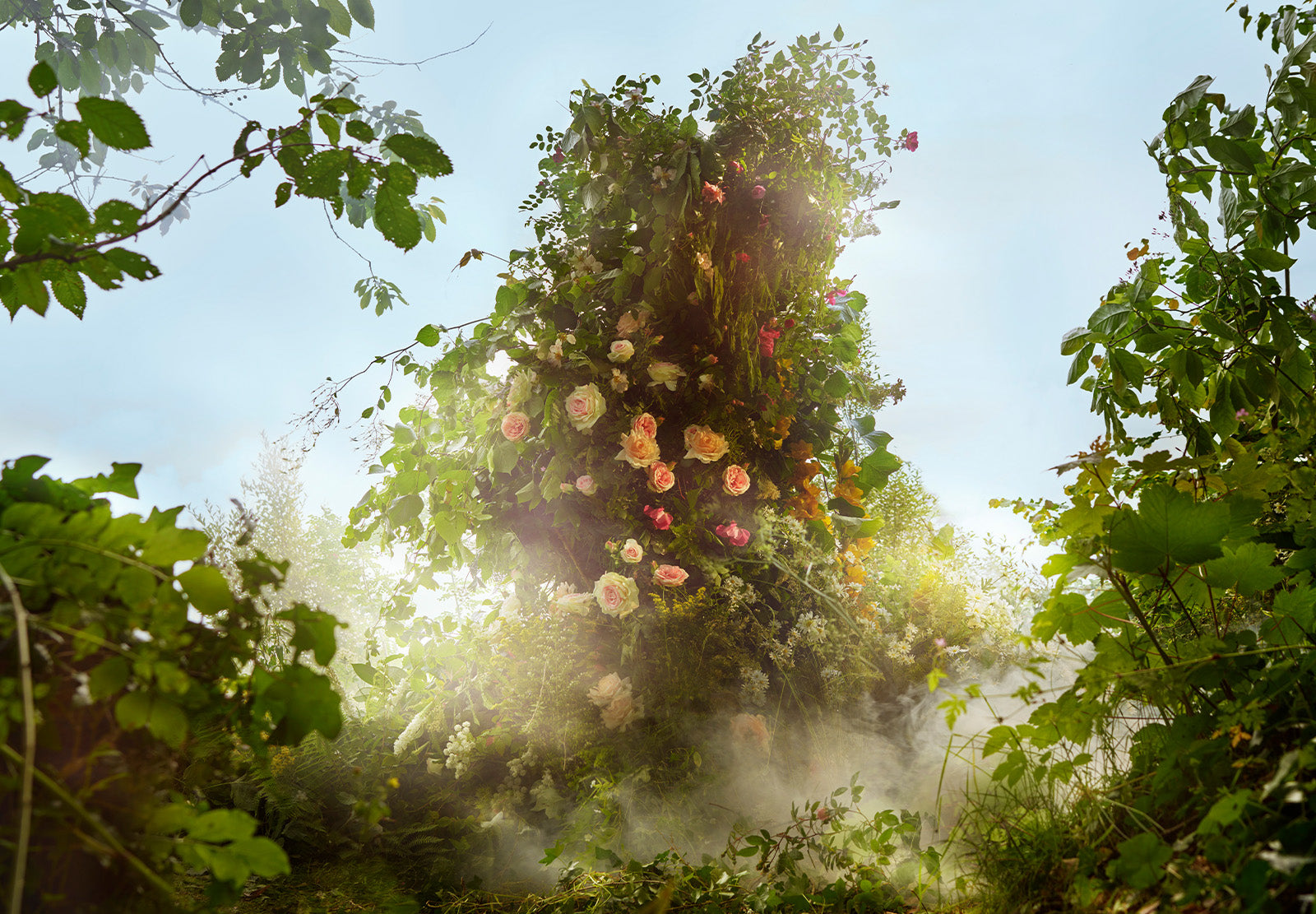 WONDER GARDEN