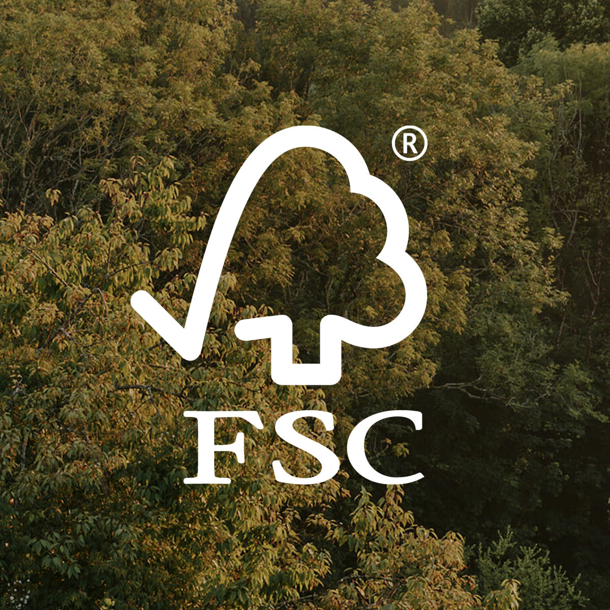 FSC