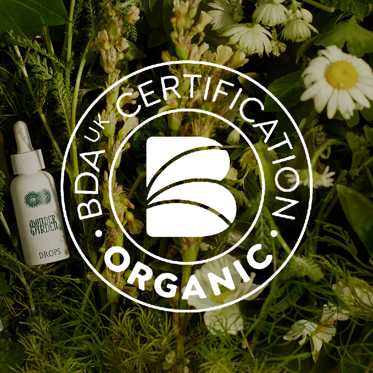 a white circle with a logo on it next to a plant