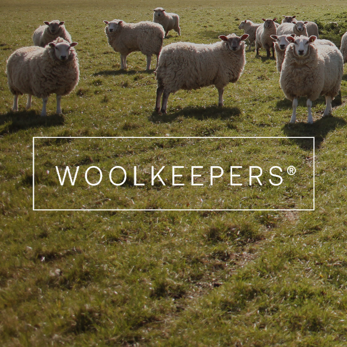 WOOLKEEPERS