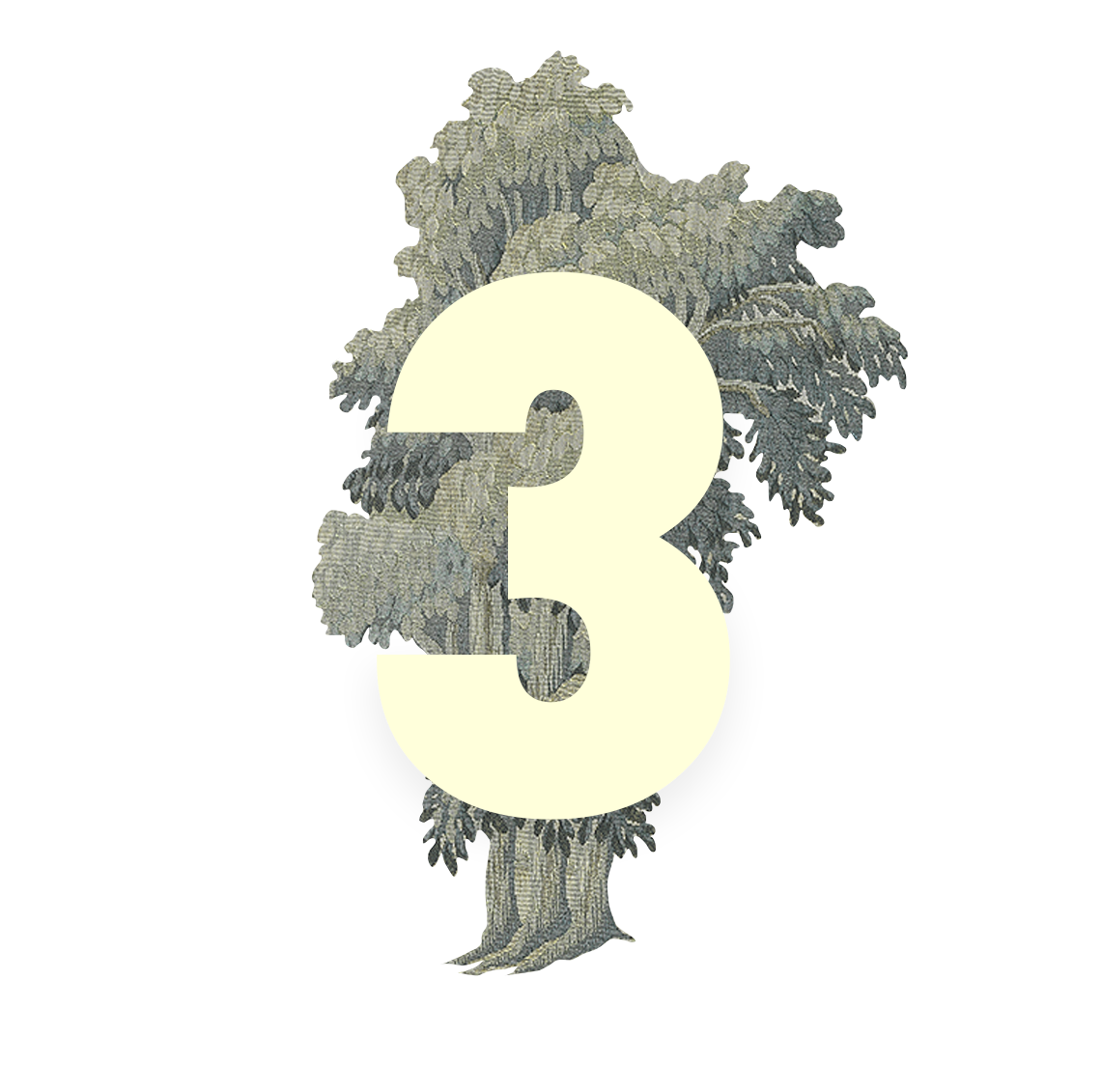 WHO WE’RE LOOKING FOR