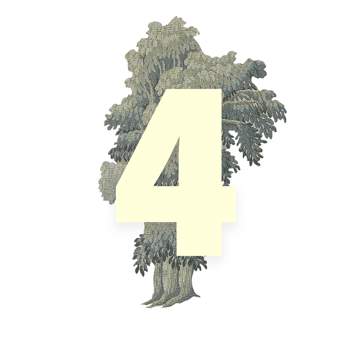 WHAT YOU MIGHT EXPLORE