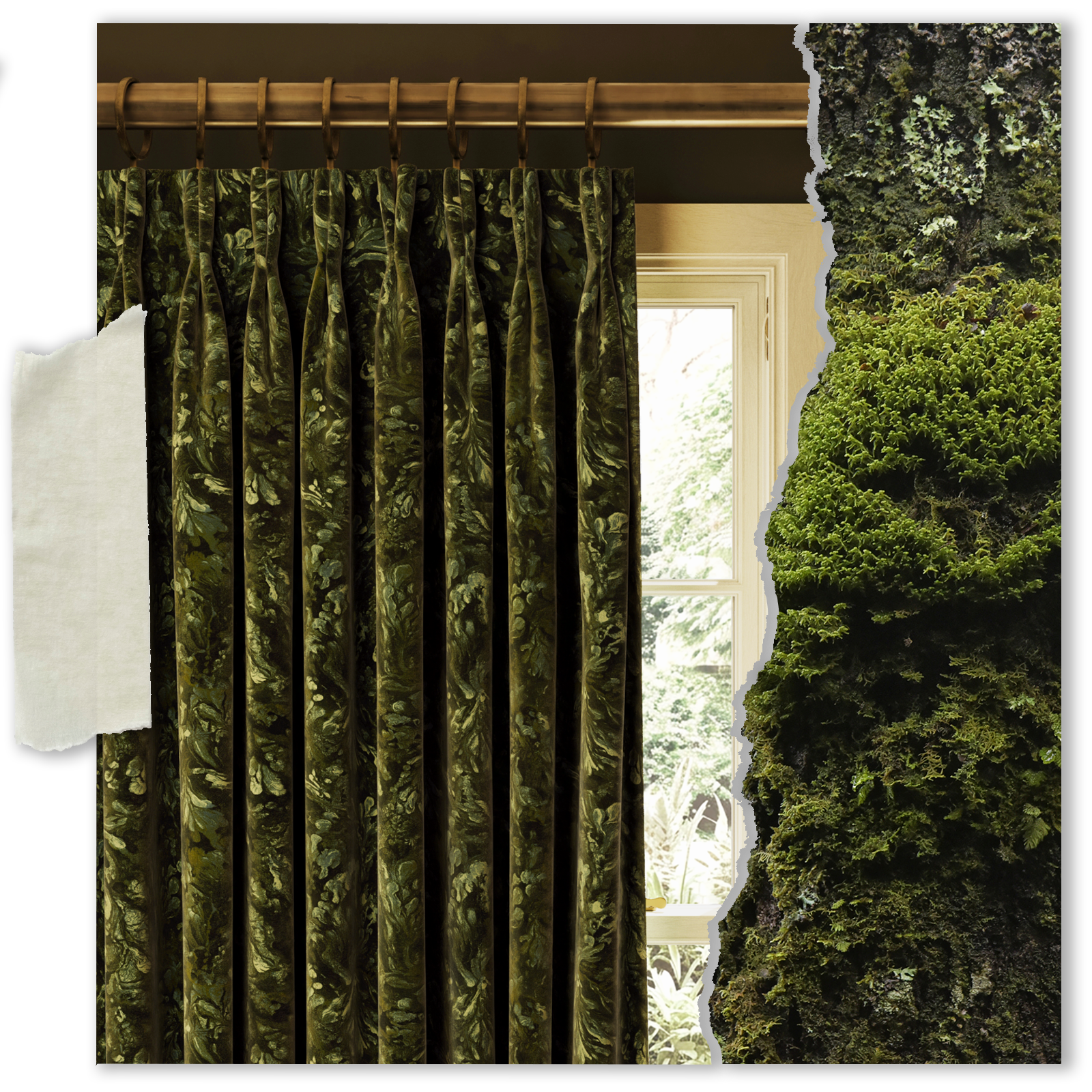 LICHEN