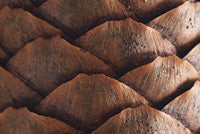 Aura 05: To Root Image