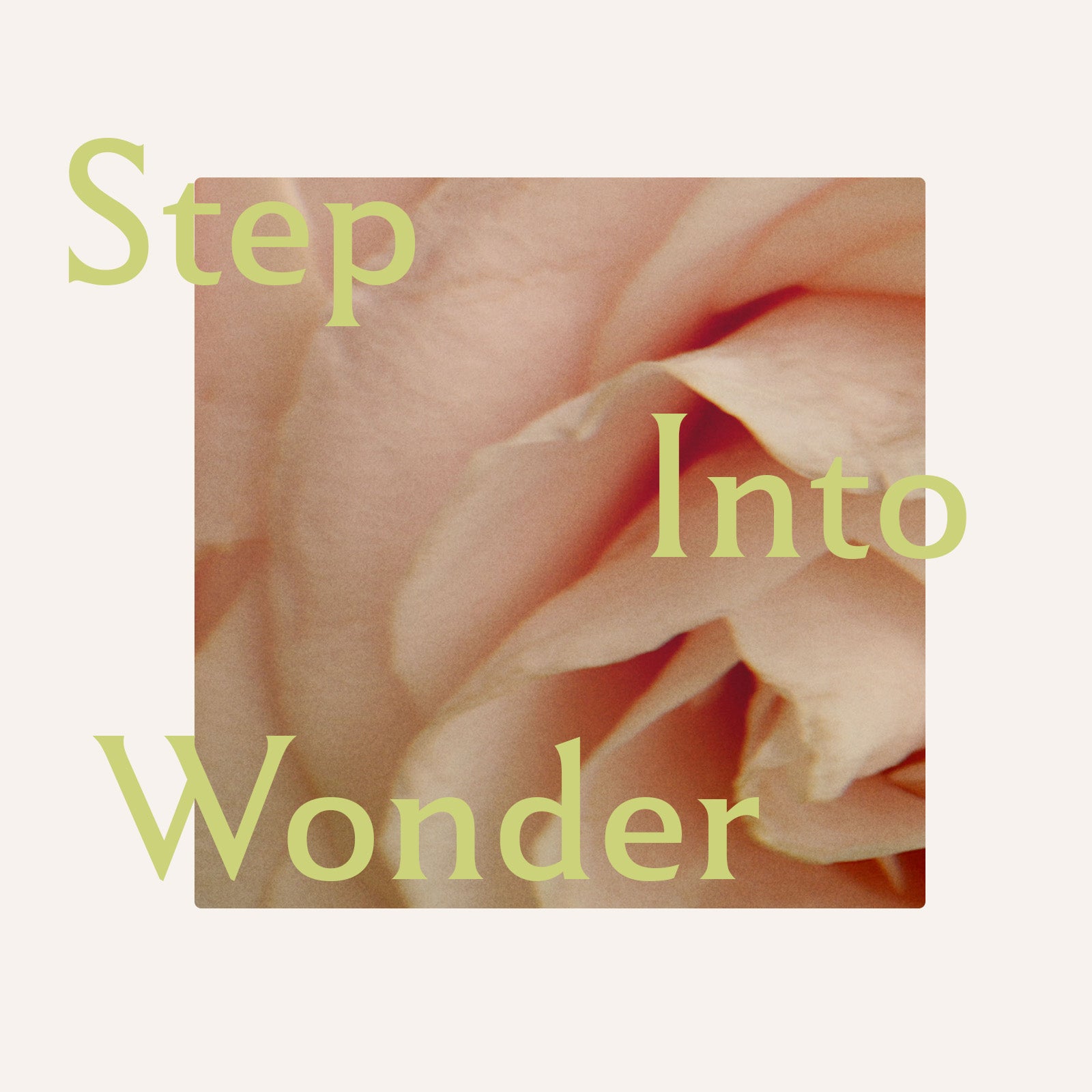 STEP INTO WONDER