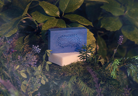 The Mother Garden