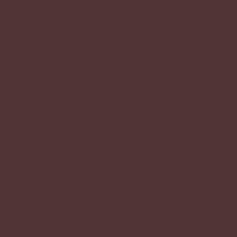 ANEMONE Paint Pot 125ml - 11