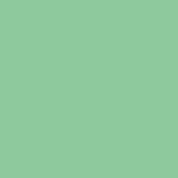 ANISE Paint Pot 125ml - 65