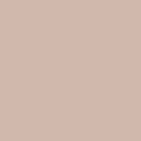 ASTRANTIA Paint Pot 125ml - 95