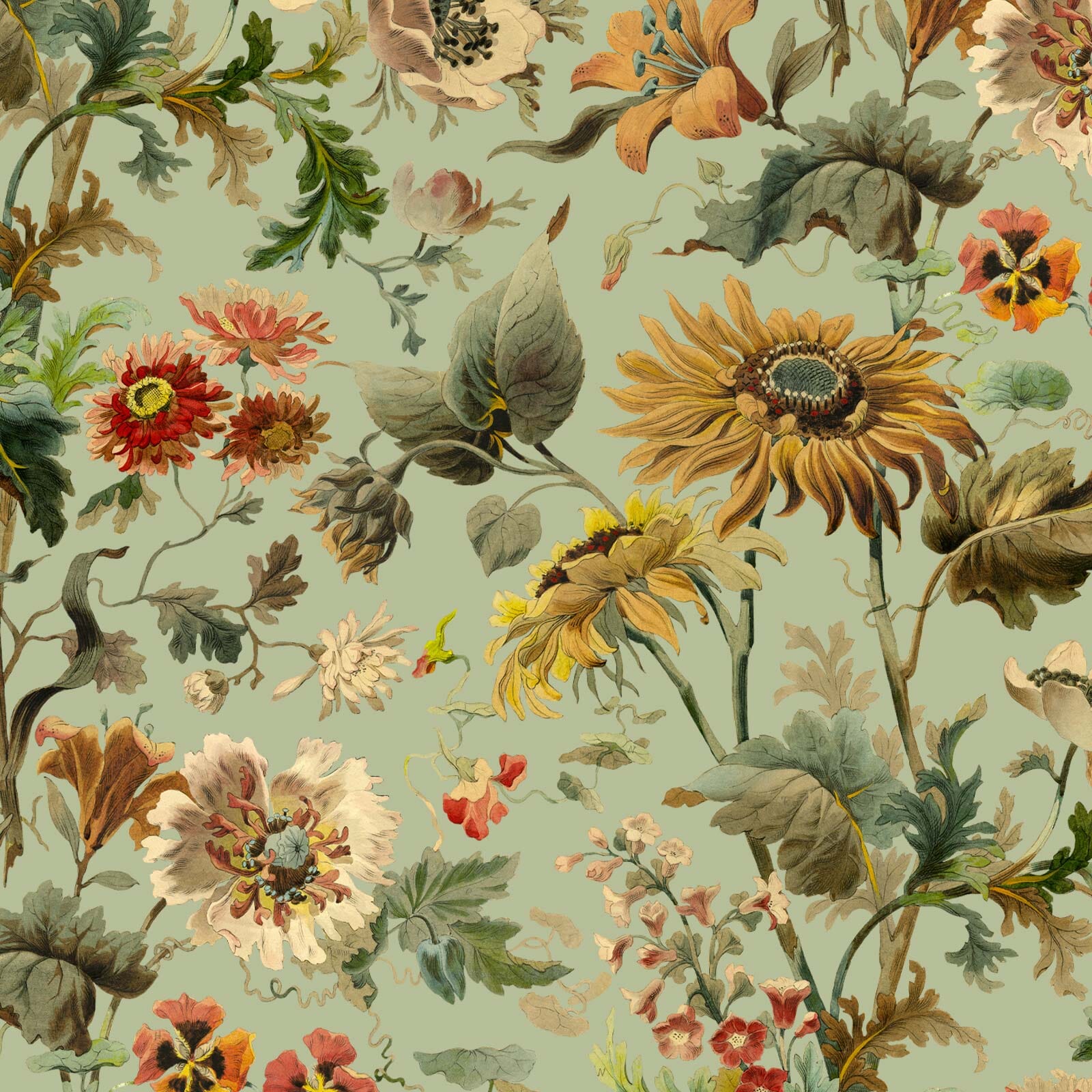 AVALON Wallpaper - Apple Sample