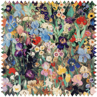 FLORIBUNDA MAGNA Velvet - Zenith