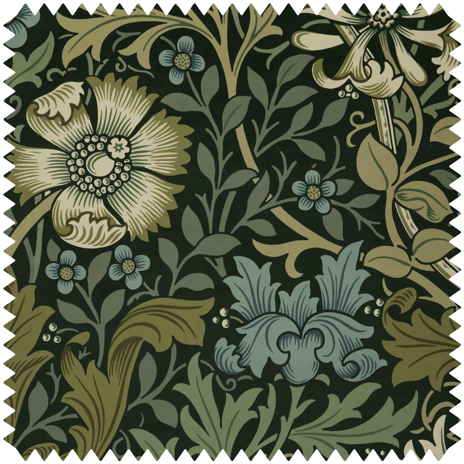 COMPTON MAGNA Velvet - Verde