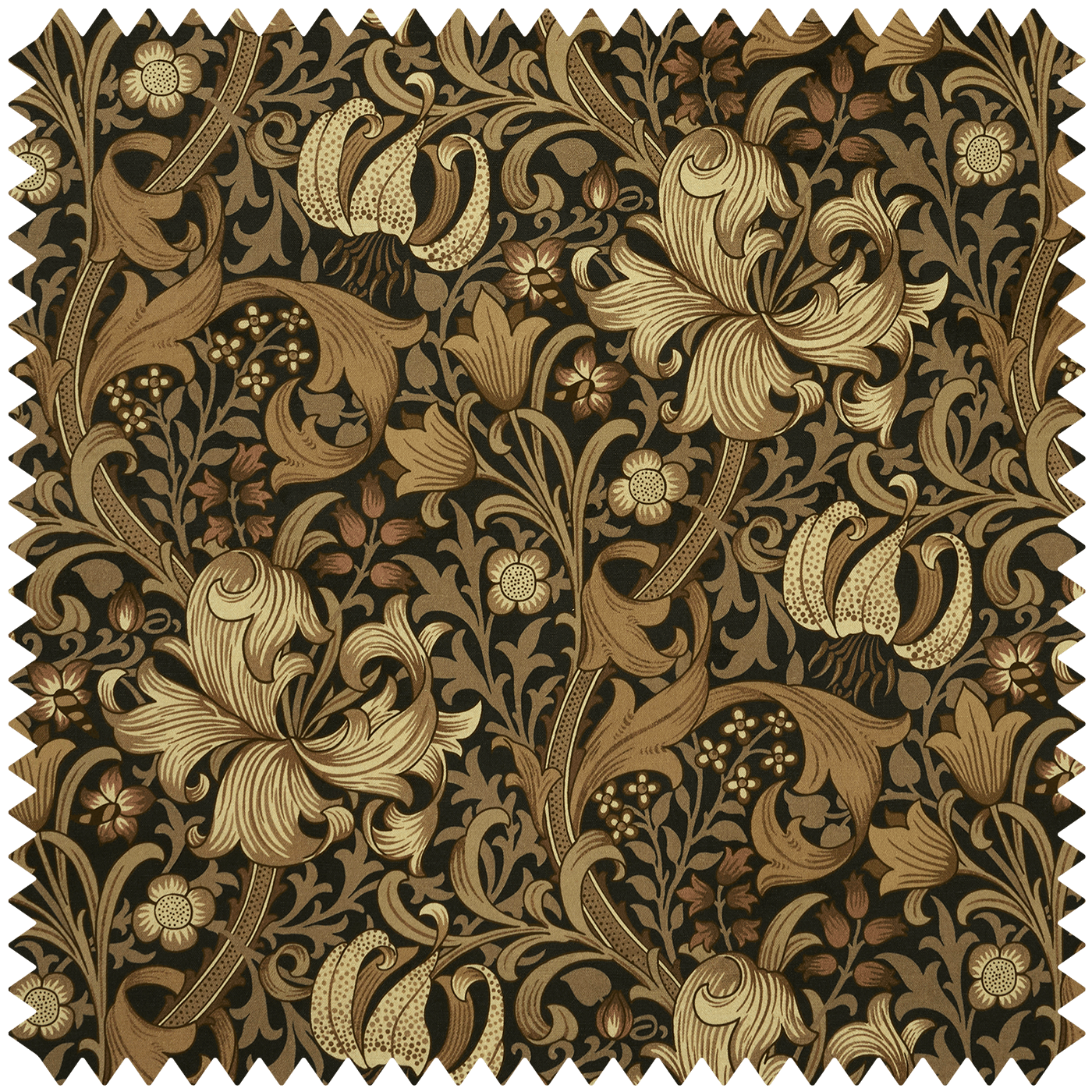 GOLDEN LILY Velvet - Black