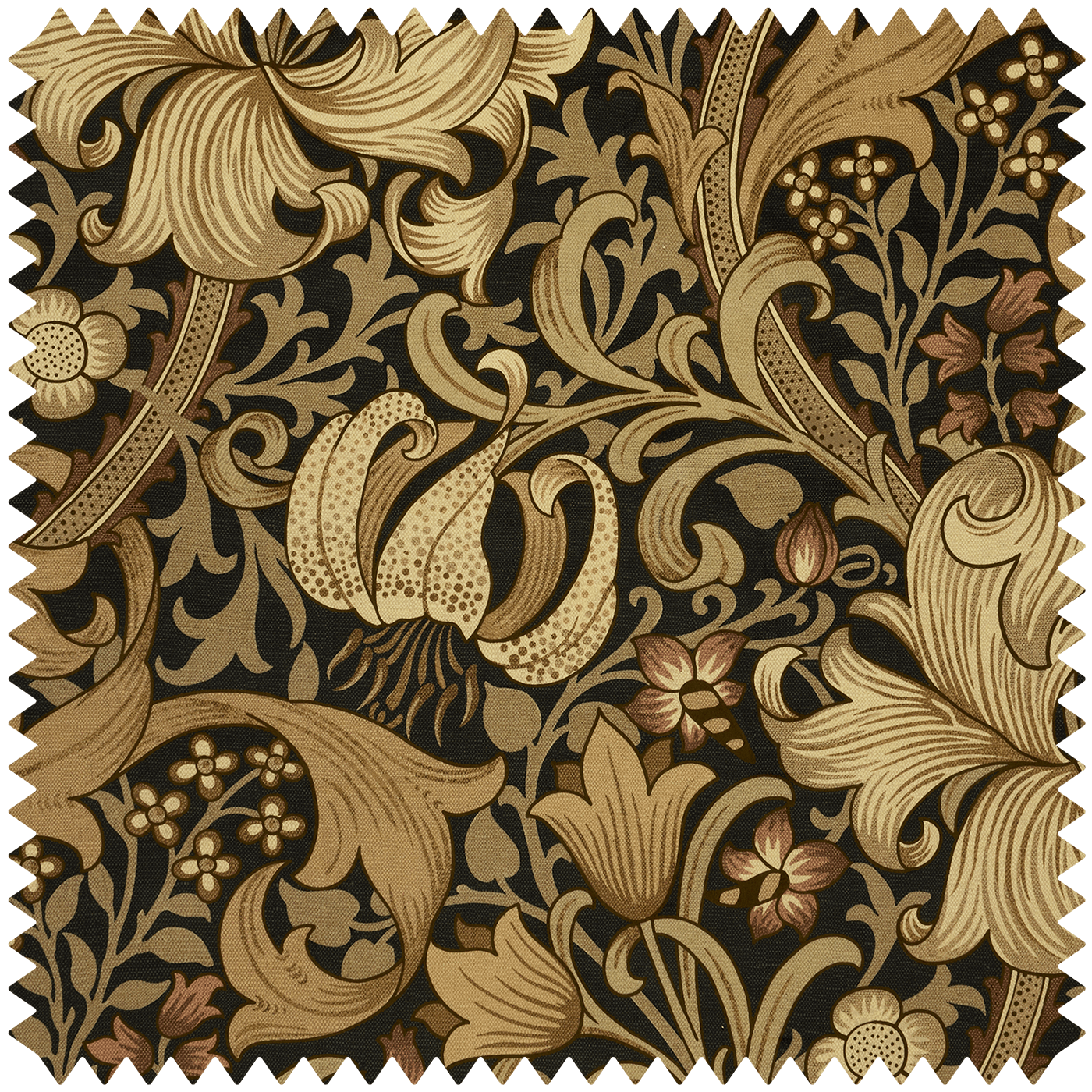 GOLDEN LILY MAGNA Velvet - Black