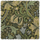 GOLDEN LILY MAGNA Velvet - Verde
