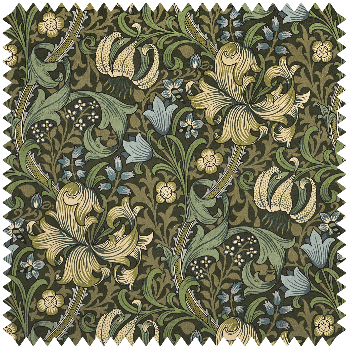 GOLDEN LILY Velvet - Verde