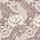 CHRYSANTHEMUM MAGNA Wallpaper - Astrantia
