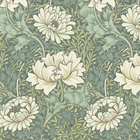 CHRYSANTHEMUM MAGNA Wallpaper - Sap Sample