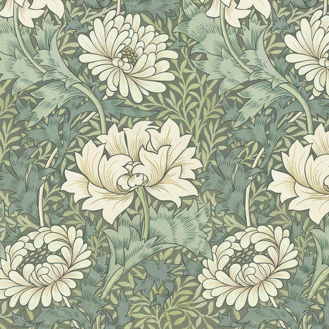 CHRYSANTHEMUM MAGNA Wallpaper - Sap Sample