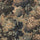 NEMOR Carpet - Bronze