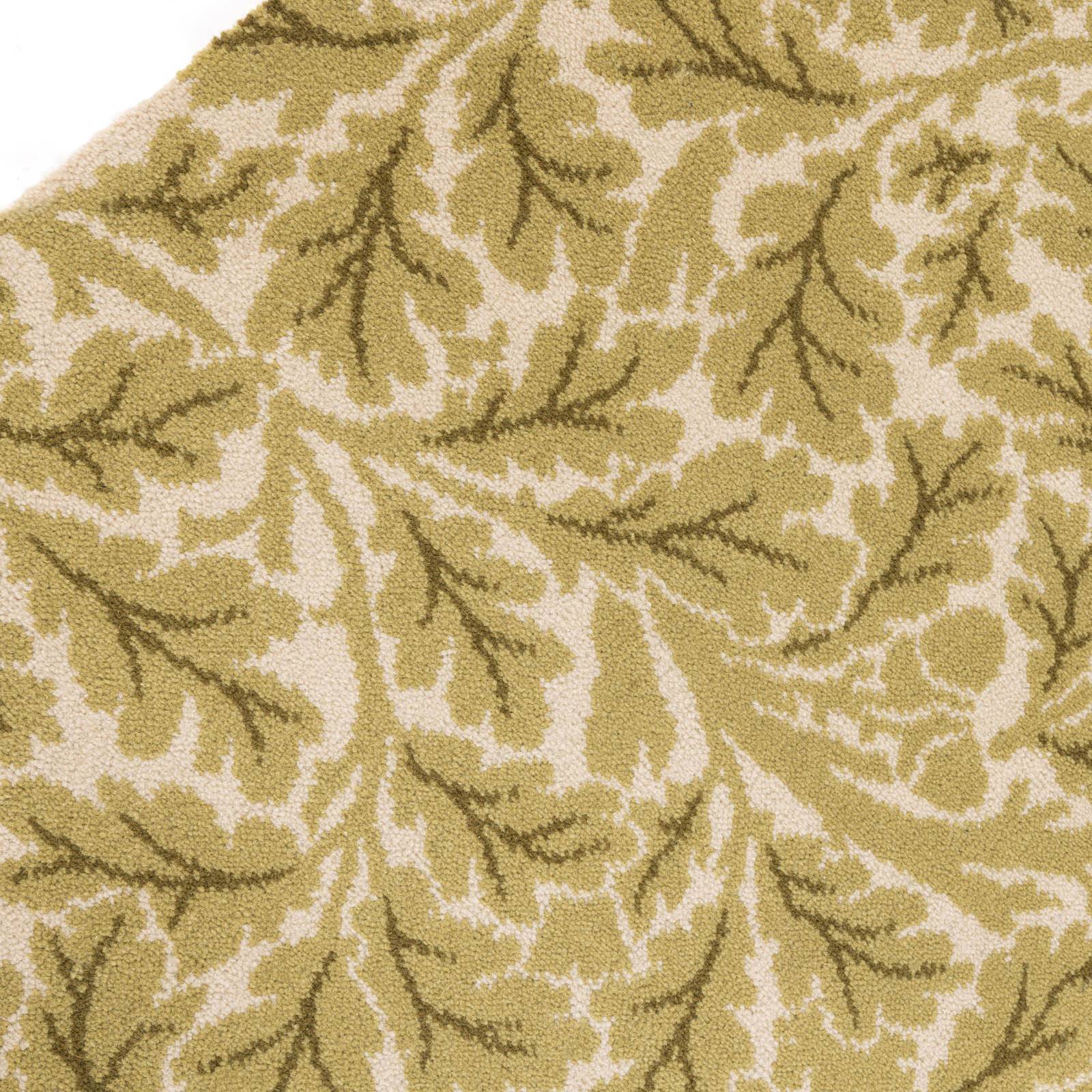 QUERCUS Runner - Auric