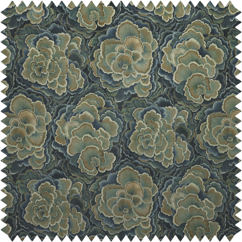 TRAMETES Velvet - Carex Sample