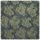 TRAMETES Velvet - Carex