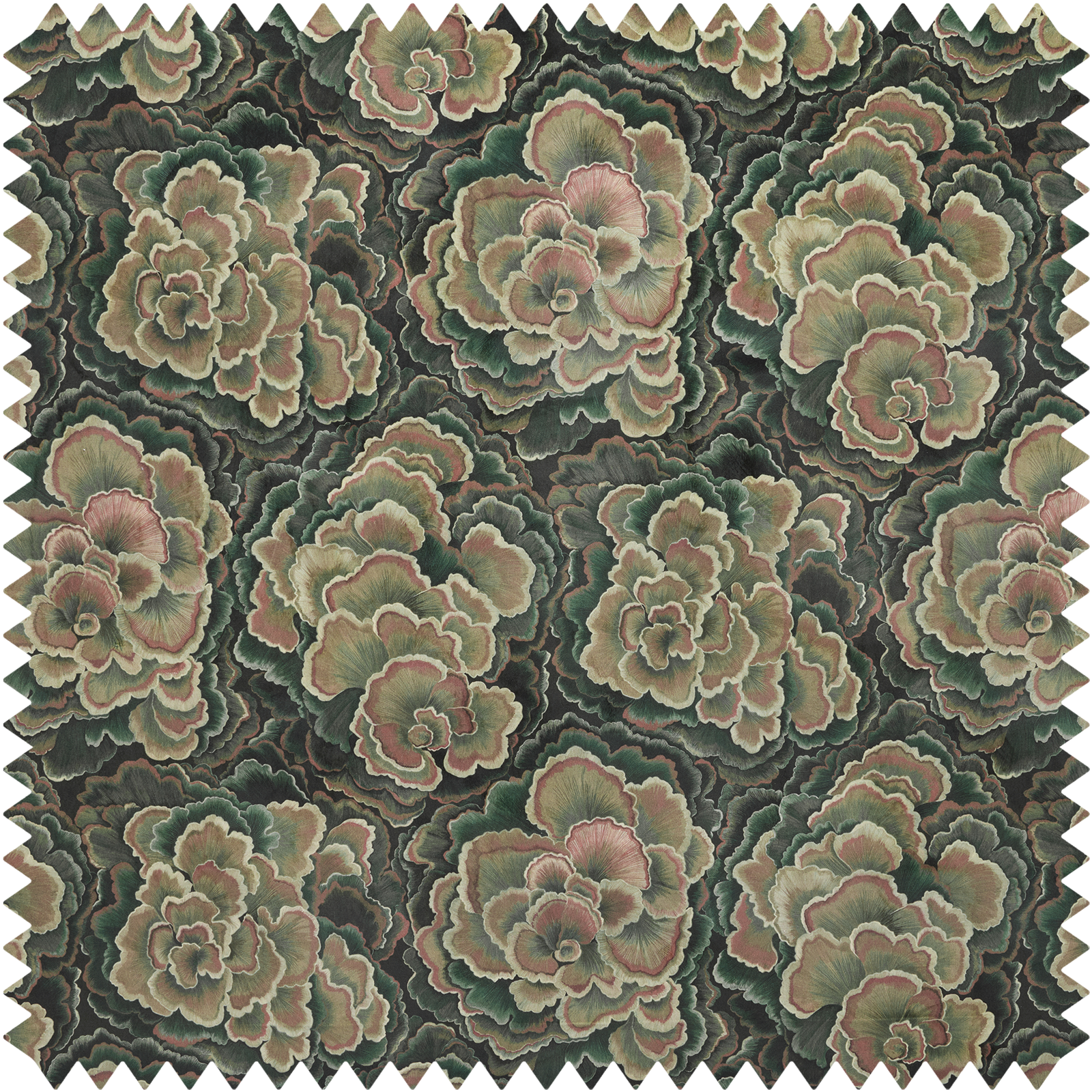 a close up of a carpet
