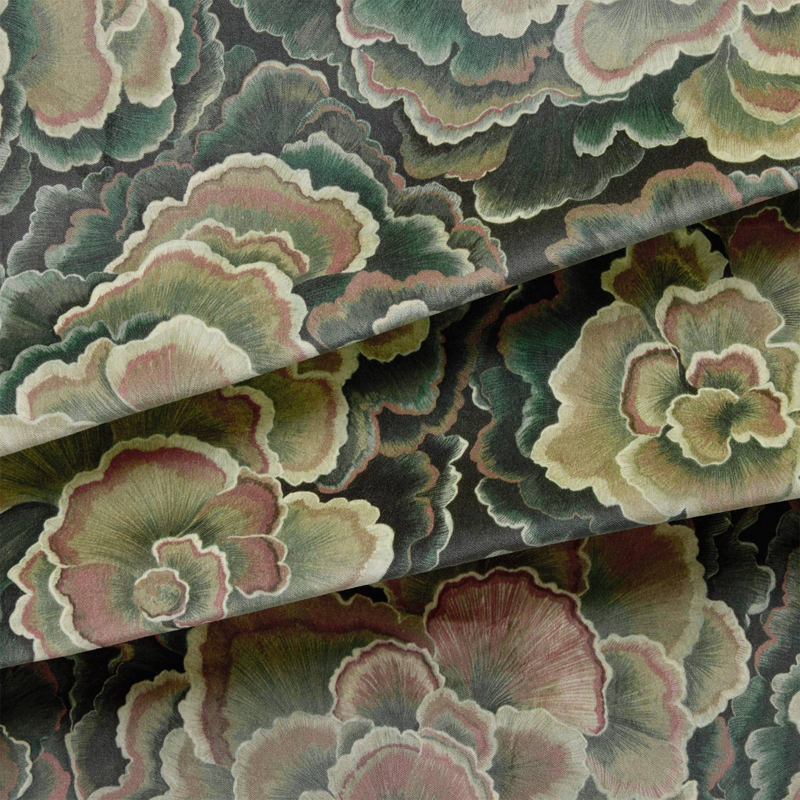 TRAMETES Velvet Curtain - Hosta