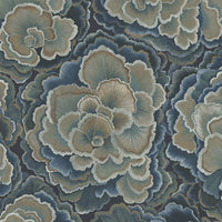TRAMETES Wallpaper - Carex