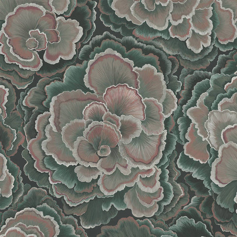 TRAMETES Wallpaper - Hosta Sample