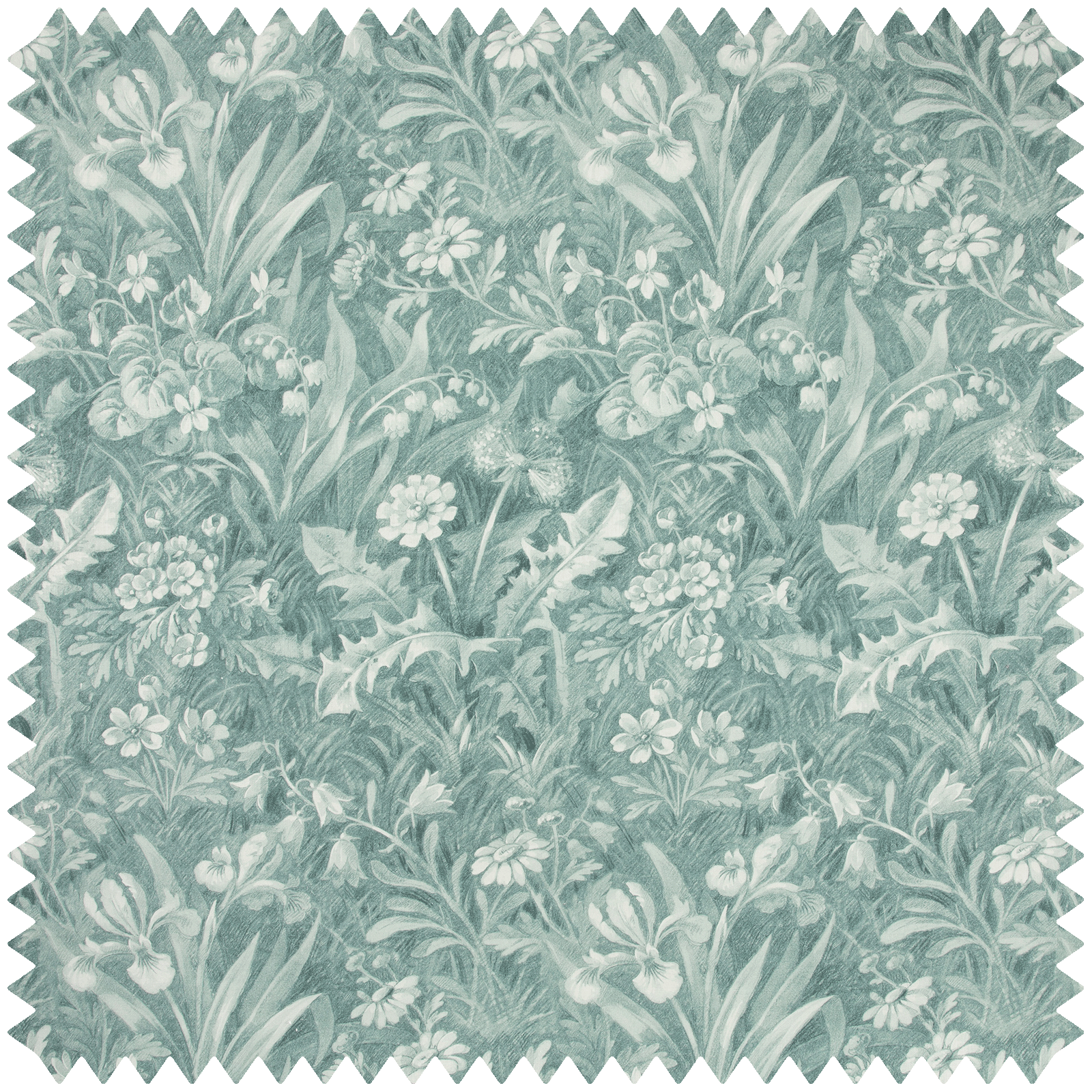 BELTANE Hemp - Euphorbia Sample