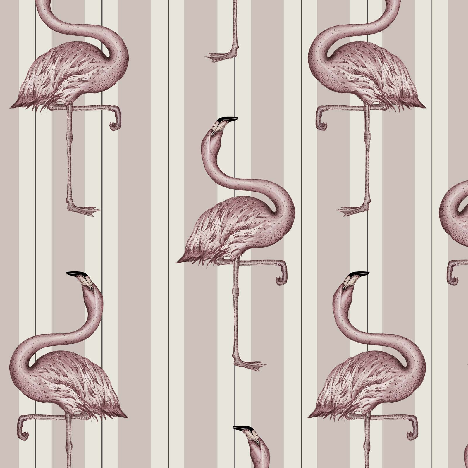 FLAMBOYANCE Wallpaper - Off White & Macaroon Pink Sample