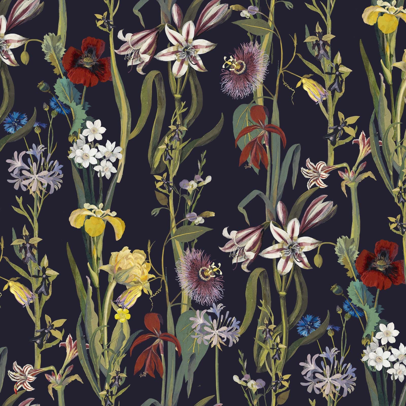 FLORA DELANICA Wallpaper - Midnight