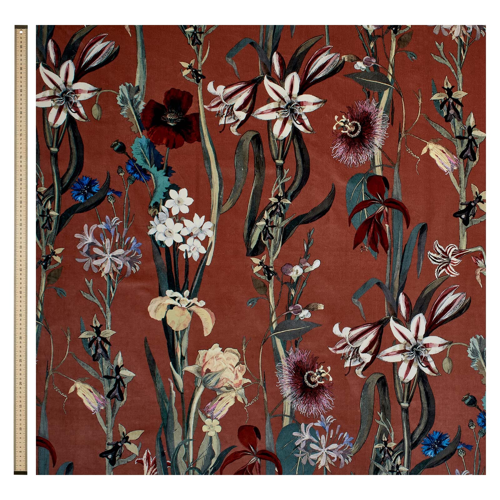 FLORA DELANICA Blind - Clay