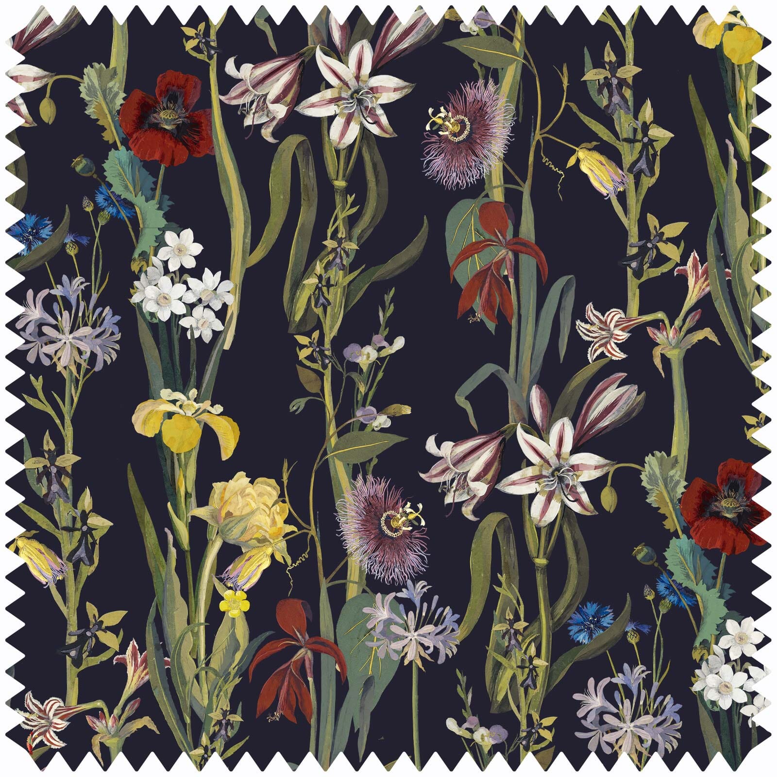 FLORA DELANICA Velvet - Midnight